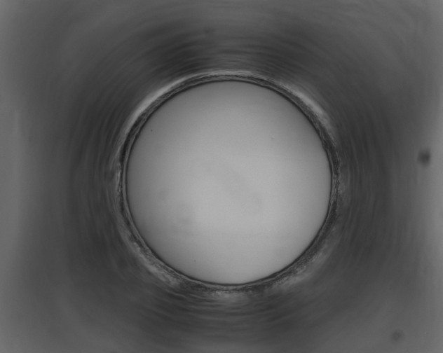 X0000097840933200803140831