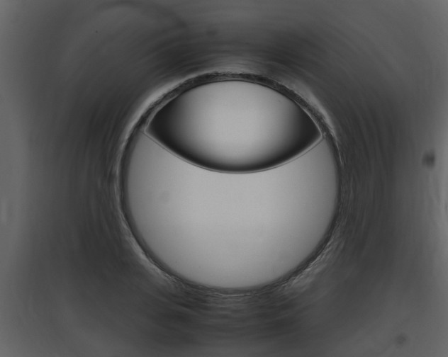 X0000097840935200803140831