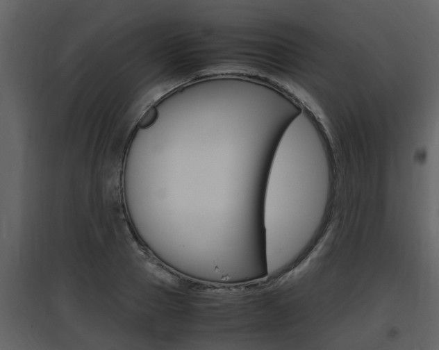 X0000097840937200803140831