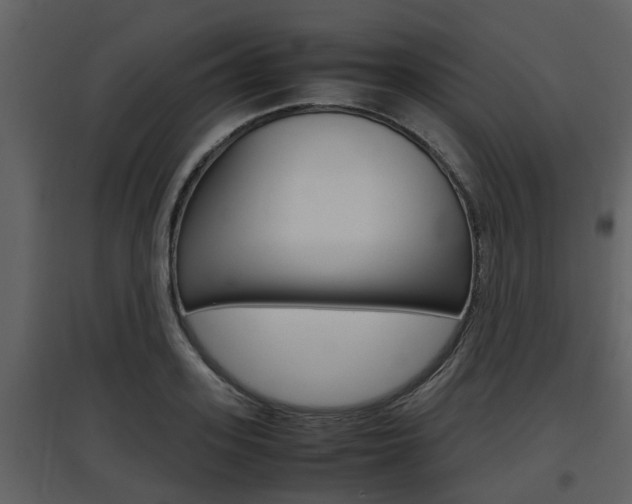 X0000097840939200803140831