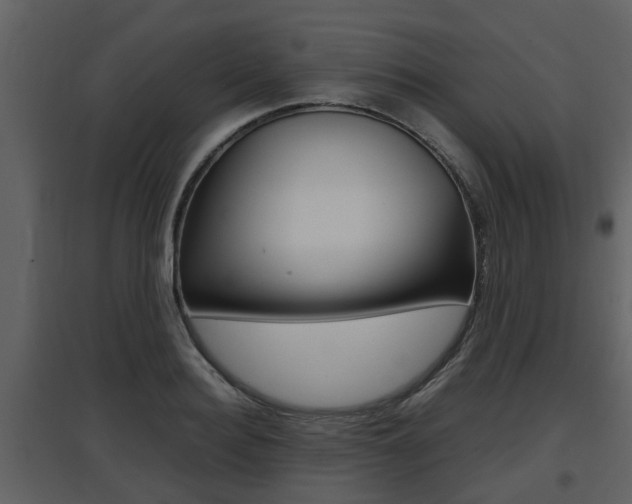 X0000097840940200803140831