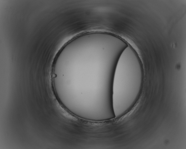 X0000097840941200803140831