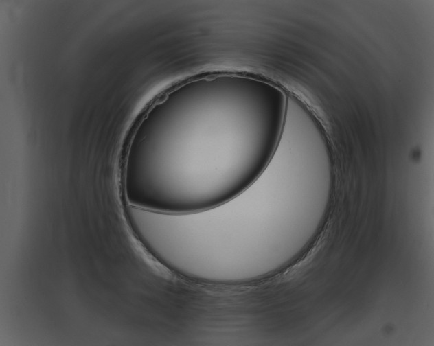 X0000097840942200803140831