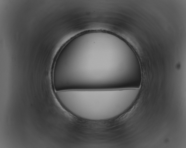 X0000097840943200803140831