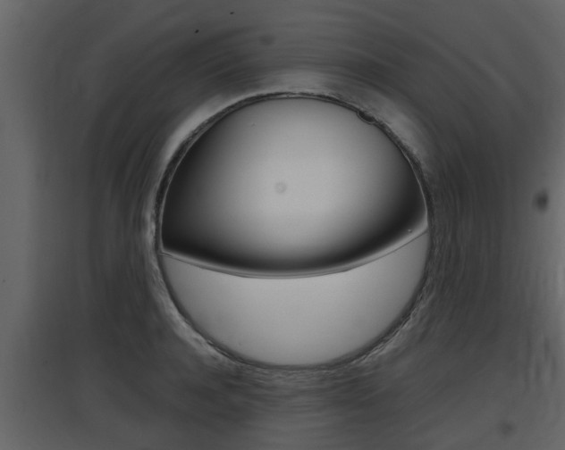X0000097840944200803140831