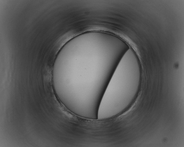 X0000097840945200803140831