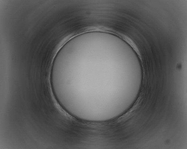 X0000097840946200803140832
