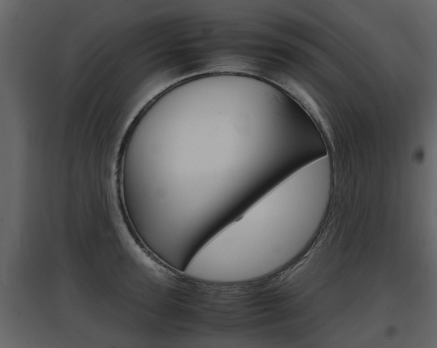 X0000097840947200803140832
