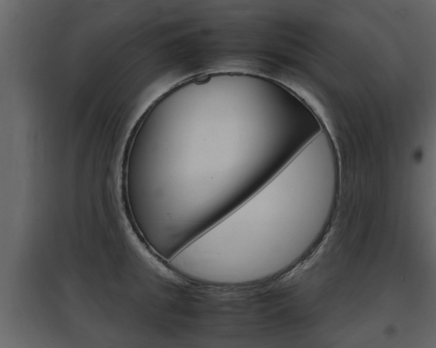 X0000097840949200803140832