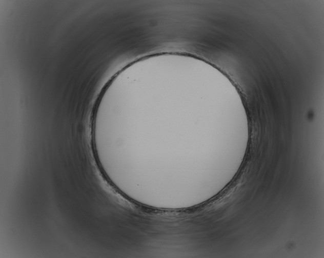 X0000097840950200803140832