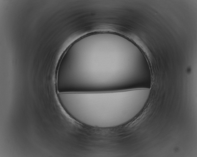X0000097840951200803140832