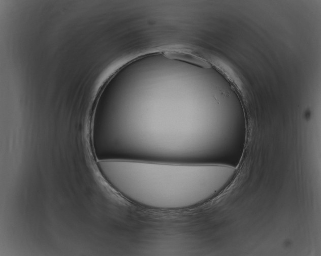 X0000097840952200803140832