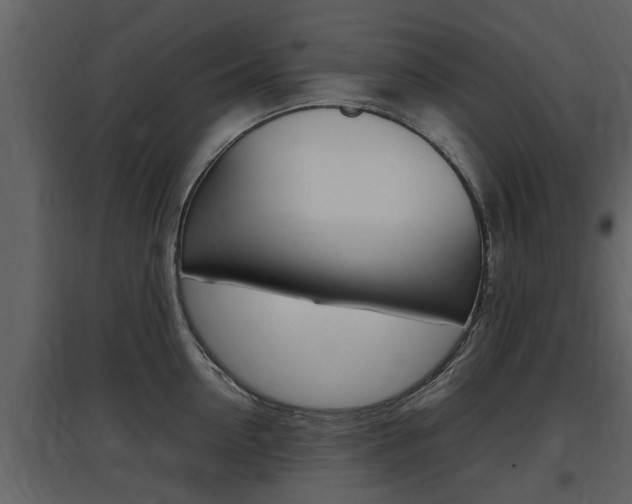 X0000097840954200803140832