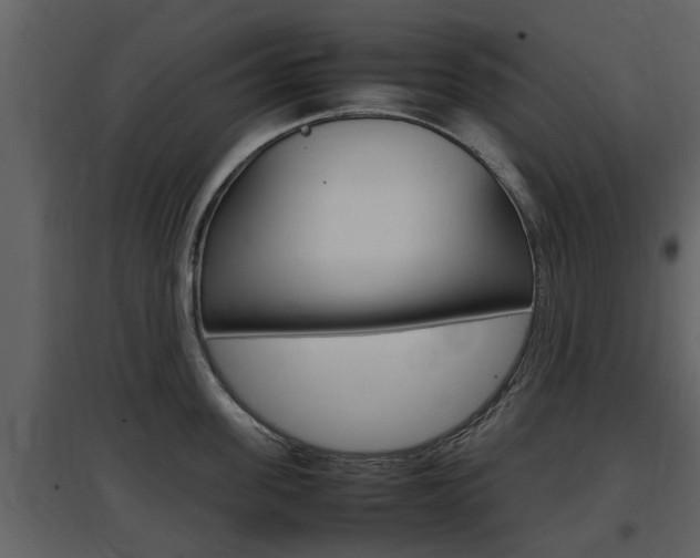X0000097840955200803140832