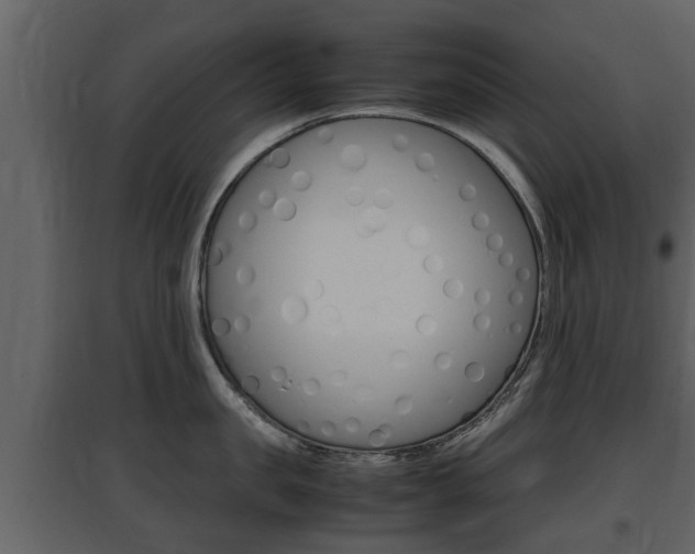 X0000097840957200803140832