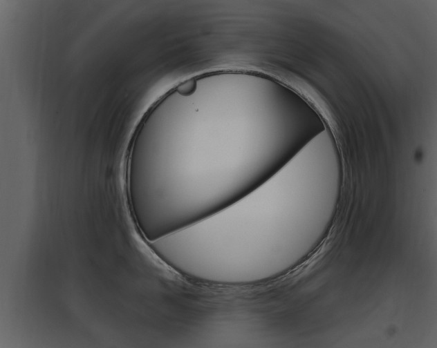X0000097840958200803140832