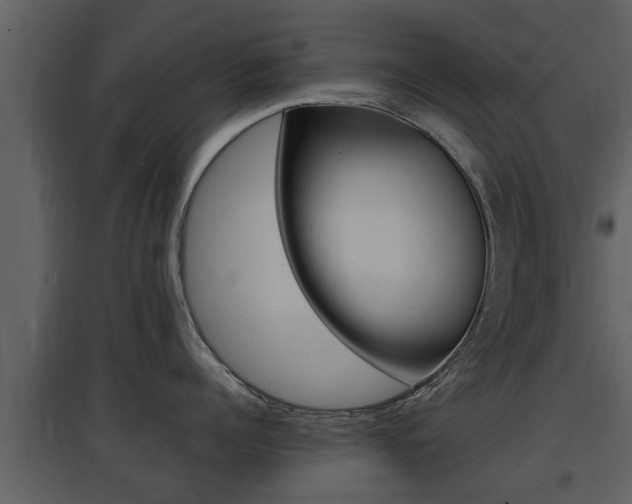 X0000097840960200803140832