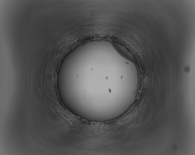 X0000097840961200803140831