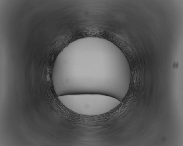 X0000097840962200803140831