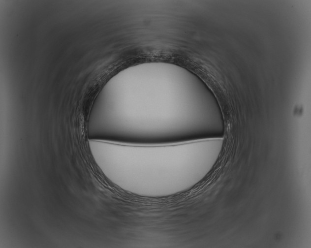 X0000097840963200803140831