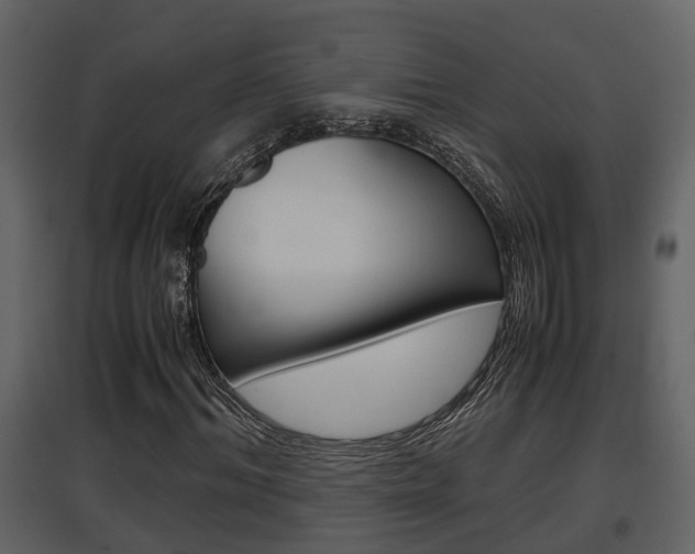 X0000097840964200803140831