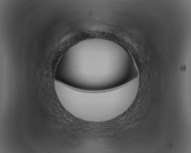 X0000097840965200803140831