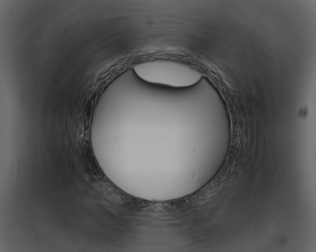 X0000097840966200803140831