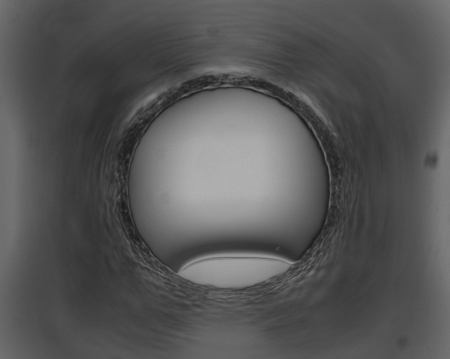 X0000097840967200803140831