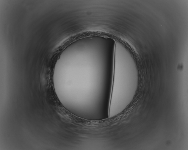 X0000097840968200803140831