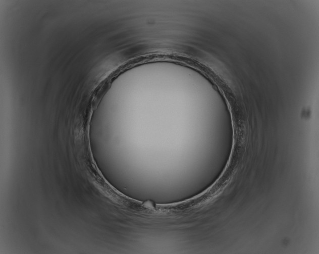 X0000097840969200803140831