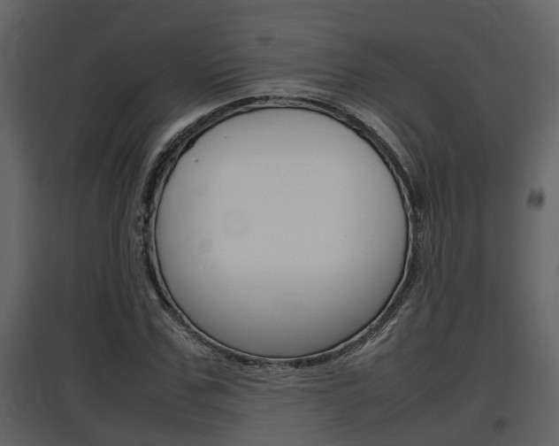 X0000097840971200803140831