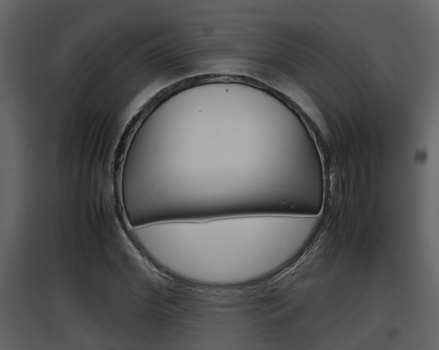 X0000097840972200803140831