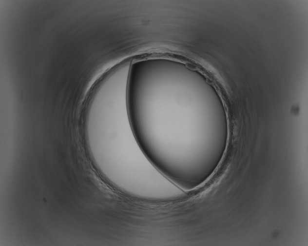 X0000097840973200803140831