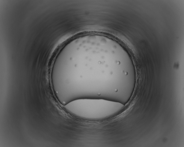 X0000097840974200803140831