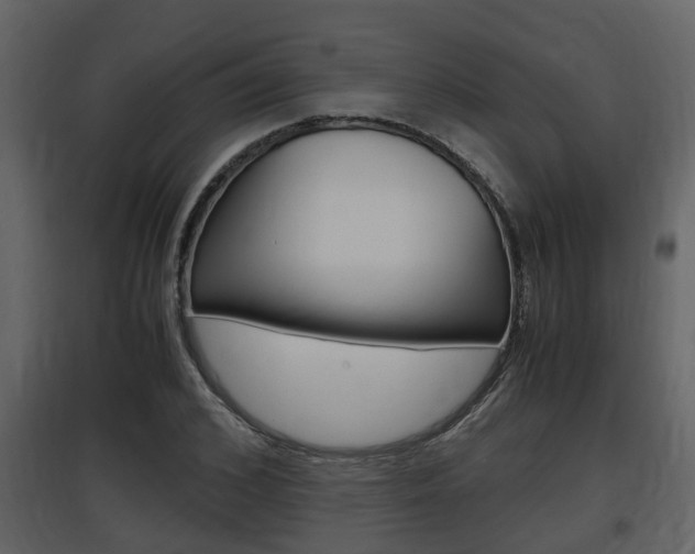 X0000097840976200803140831