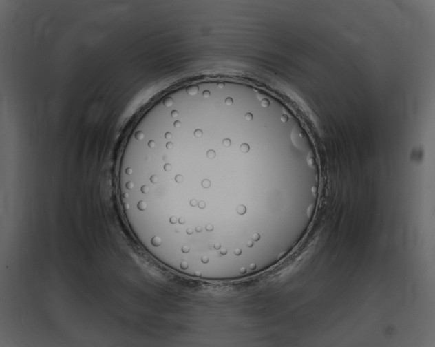 X0000097840978200803140831