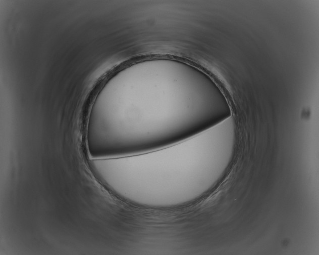 X0000097840979200803140831