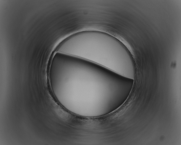 X0000097840980200803140831