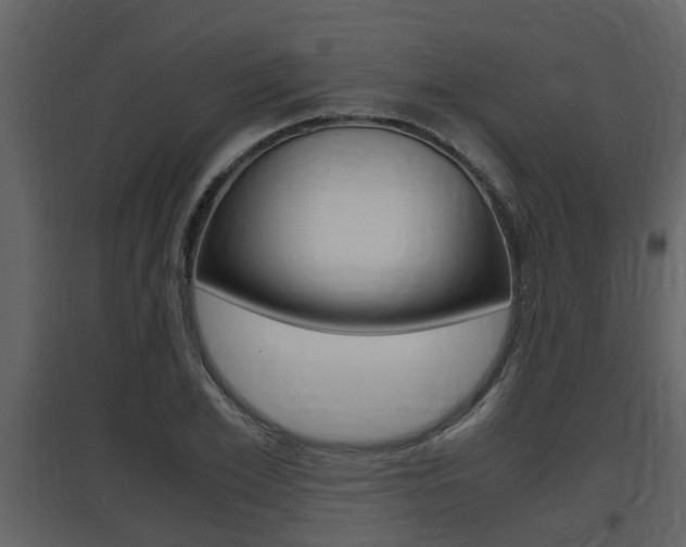 X0000097840981200803140831