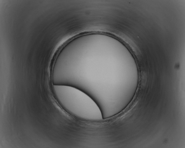X0000097840982200803140831