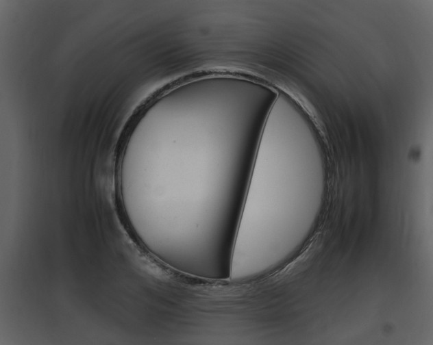 X0000097840984200803140831