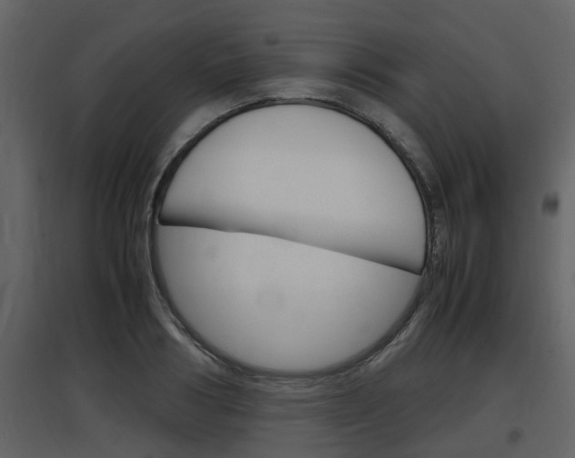 X0000097840986200803140831