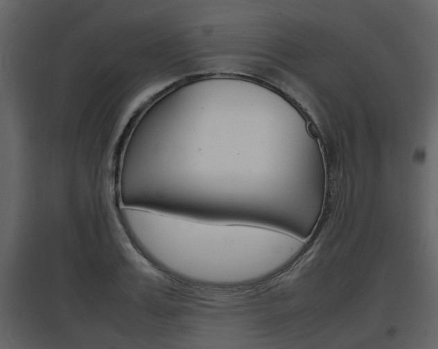 X0000097840987200803140831