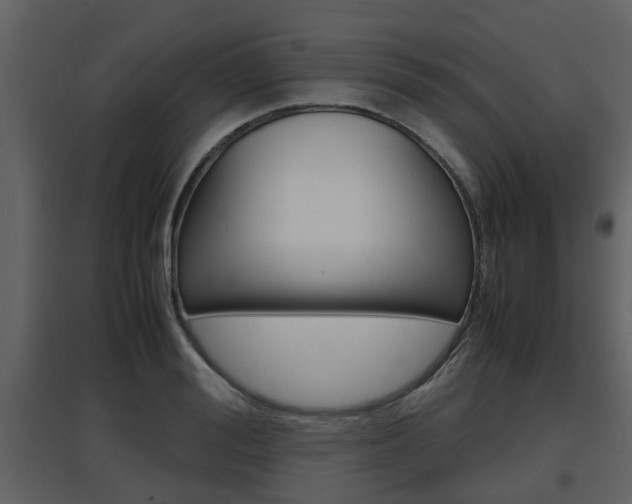 X0000097840988200803140831