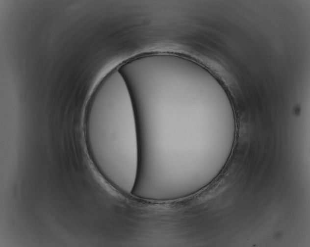 X0000097840990200803140831