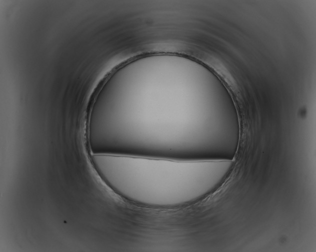 X0000097840992200803140831