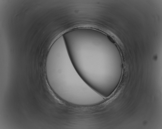 X0000097840993200803140831