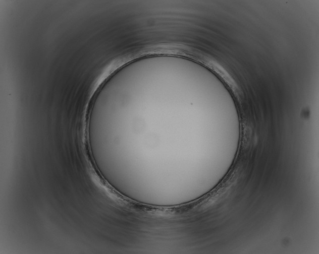 X0000097840994200803140831
