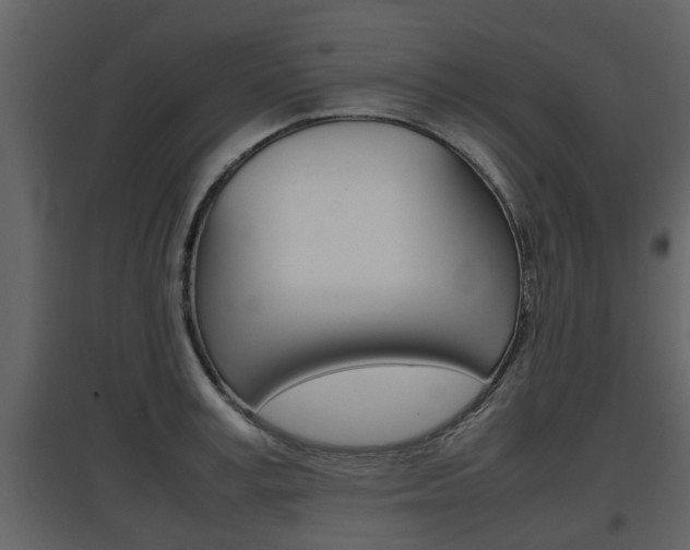 X0000097840995200803140831