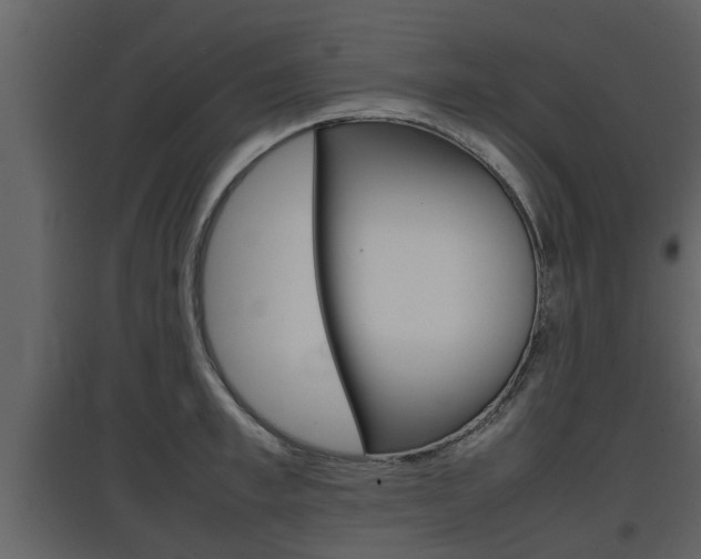 X0000097840997200803140831